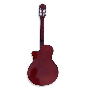Guitarra Sg38nnt Segovia Acustica Natural Nylon